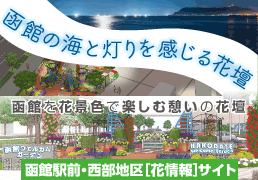 函館を花景色で楽しく憩いの花壇 函館駅前・西部地区［花情報］サイト